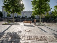 a park bench on the pavement with buildings and trees in the background on a sunny day