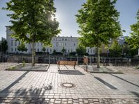 a park bench on the pavement with buildings and trees in the background on a sunny day