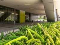 the entrance to the building is surrounded by some plant life, and flowers and a man stands outside