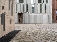 a small dog is walking down an empty sidewalk in front of a building with shuttered glass on it