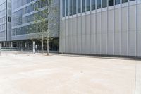 a tall building with trees near by on the sidewalk and sidewalking to it is gray