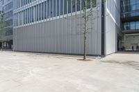 a tall building with trees near by on the sidewalk and sidewalking to it is gray