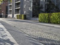 a brick paved sidewalk in front of buildings and hedges with trees on the side of each side