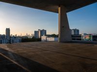 City Life in Florida: Urban Landscape