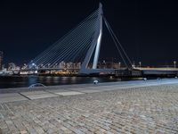City Life in Holland: An Urban Metropolis