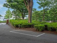 the park has trees on both sides and a fence with no grass on it, along side a road in a wooded area