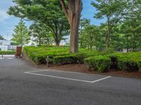 the park has trees on both sides and a fence with no grass on it, along side a road in a wooded area