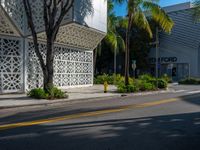 an empty street with a palm tree near a building with geometric patterns on it and two people