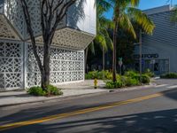 an empty street with a palm tree near a building with geometric patterns on it and two people