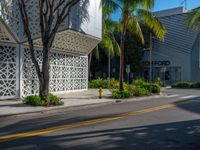 an empty street with a palm tree near a building with geometric patterns on it and two people