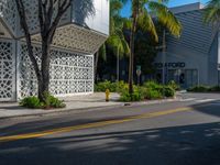 an empty street with a palm tree near a building with geometric patterns on it and two people