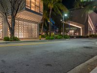 an empty street at night with buildings on both sides and palm trees and bushes in the foreground