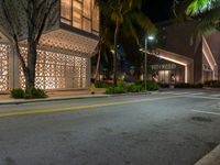 an empty street at night with buildings on both sides and palm trees and bushes in the foreground