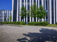 a white and grey building is near some plants and trees and there are several buildings on both side