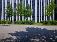 a white and grey building is near some plants and trees and there are several buildings on both side