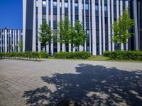 a white and grey building is near some plants and trees and there are several buildings on both side