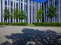 a white and grey building is near some plants and trees and there are several buildings on both side