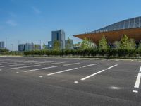 City Life: Asphalt Surface of a Parking Lot