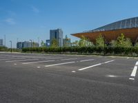 City Life: Asphalt Surface of a Parking Lot