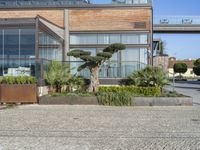 a very big pretty building with some plants in it's front yard area with trees in pots on the side