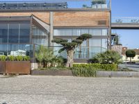 a very big pretty building with some plants in it's front yard area with trees in pots on the side