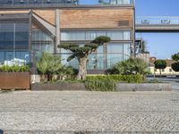 a very big pretty building with some plants in it's front yard area with trees in pots on the side