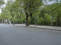 an empty city street is next to the trees on both sides of the street is several signs