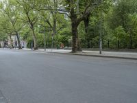 an empty city street is next to the trees on both sides of the street is several signs