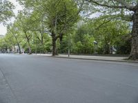 an empty city street is next to the trees on both sides of the street is several signs