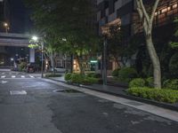 the road to an apartment is empty at night with bright lighting on it and several trees surrounding