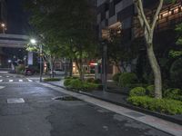 the road to an apartment is empty at night with bright lighting on it and several trees surrounding