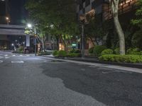 the road to an apartment is empty at night with bright lighting on it and several trees surrounding