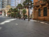 a bricked floor in an empty street with a bench on one side and palm trees on the other