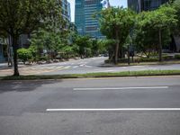 an empty street with two green trees and buildings behind it in the background, on a city street