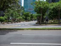 an empty street with two green trees and buildings behind it in the background, on a city street