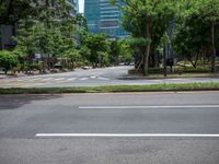 an empty street with two green trees and buildings behind it in the background, on a city street