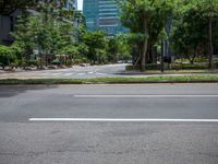 an empty street with two green trees and buildings behind it in the background, on a city street