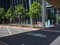 a paved bike lane in the city near tall building with trees outside its windows and red curbs