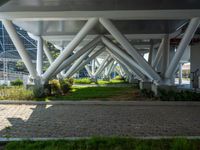 a paved walkway and street through the center of a park in front of tall buildings