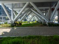 a paved walkway and street through the center of a park in front of tall buildings