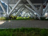 a paved walkway and street through the center of a park in front of tall buildings