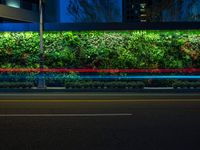 green wall in city area with lights and benches at night or night time, illuminated by street lamp