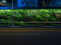 green wall in city area with lights and benches at night or night time, illuminated by street lamp