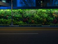 green wall in city area with lights and benches at night or night time, illuminated by street lamp