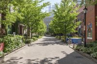 a wide street lined with trees near a sidewalk and lampposts in the city