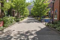 a wide street lined with trees near a sidewalk and lampposts in the city