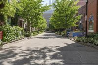 a wide street lined with trees near a sidewalk and lampposts in the city