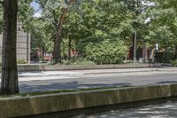 a young girl riding on a skateboard down the street on a city sidewalk in front of some trees