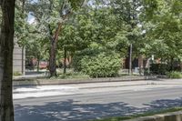 a young girl riding on a skateboard down the street on a city sidewalk in front of some trees