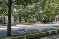 a young girl riding on a skateboard down the street on a city sidewalk in front of some trees